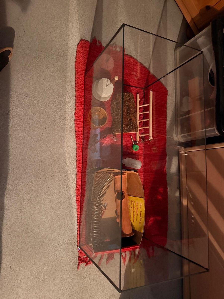 Terrario: Terrarium – Usato da Münsingen venduto da mik_8bgk 1