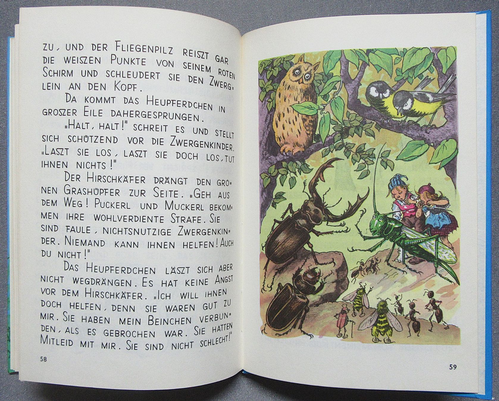 Libri: Puckerl und Muckerl - mit Bildern von Ernst Kutzer – Usato da Auenstein venduto da Padabimbim 6