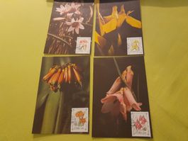 Lot de 4 cartes postales fleurs avec timbres - Vintage🌸