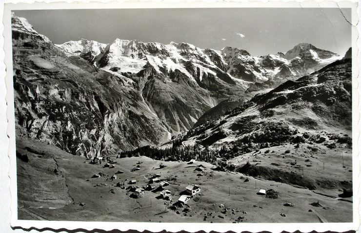 Cartes postales: MÜRREN Blumental – D'occasion à Jona par philajona