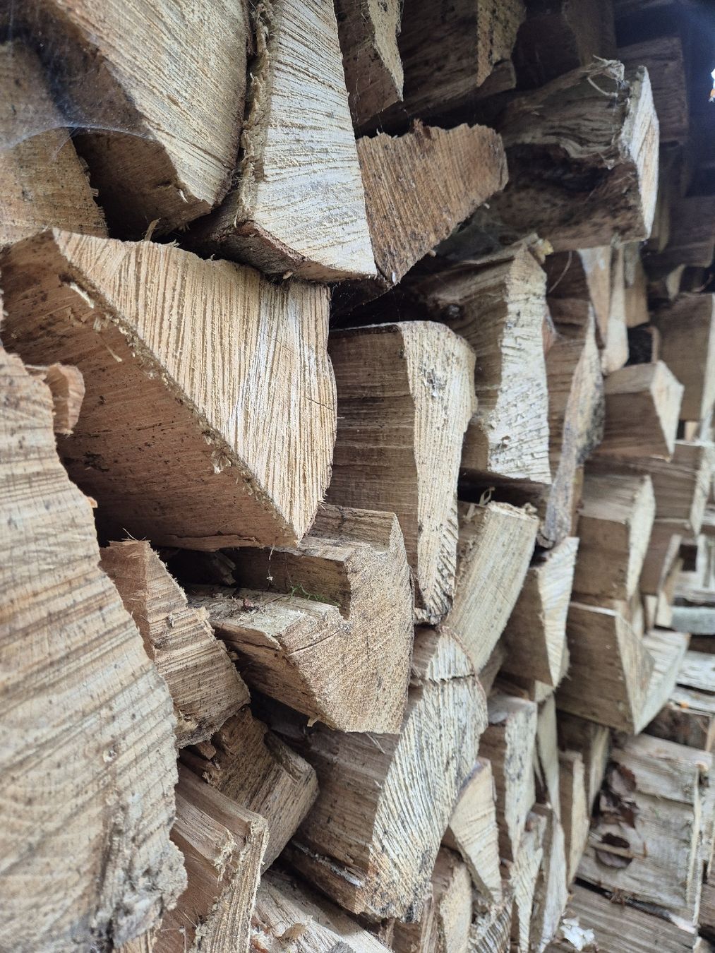 Holzartikel: Buchen Brenholz – Neu (gemäss Beschreibung) aus Kaltacker von chr_68qp 1