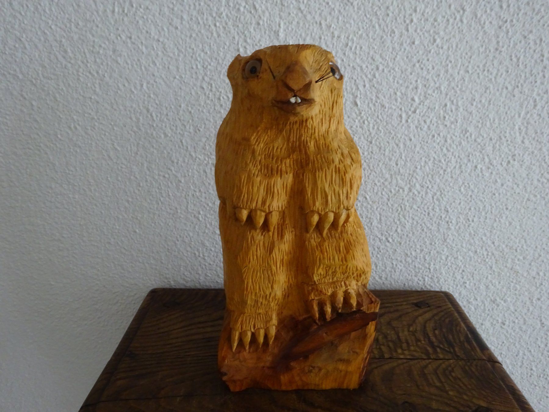Sculture & Statue: Murmeltier Phil / Pennsylvania – Usato da Esslingen venduto da eintagammeer 5