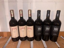 6 Fl Il Pino di Biserno 2022- MM Masari 2015