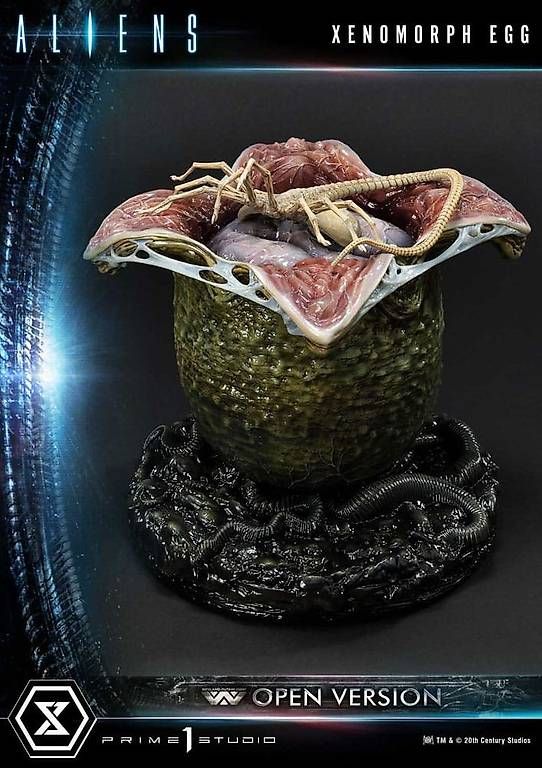 Statuette: Egg Open Version (Alien Comics) - Aliens - Polystone Statue – Usato da St. Gallen venduto da ManuelSt.
