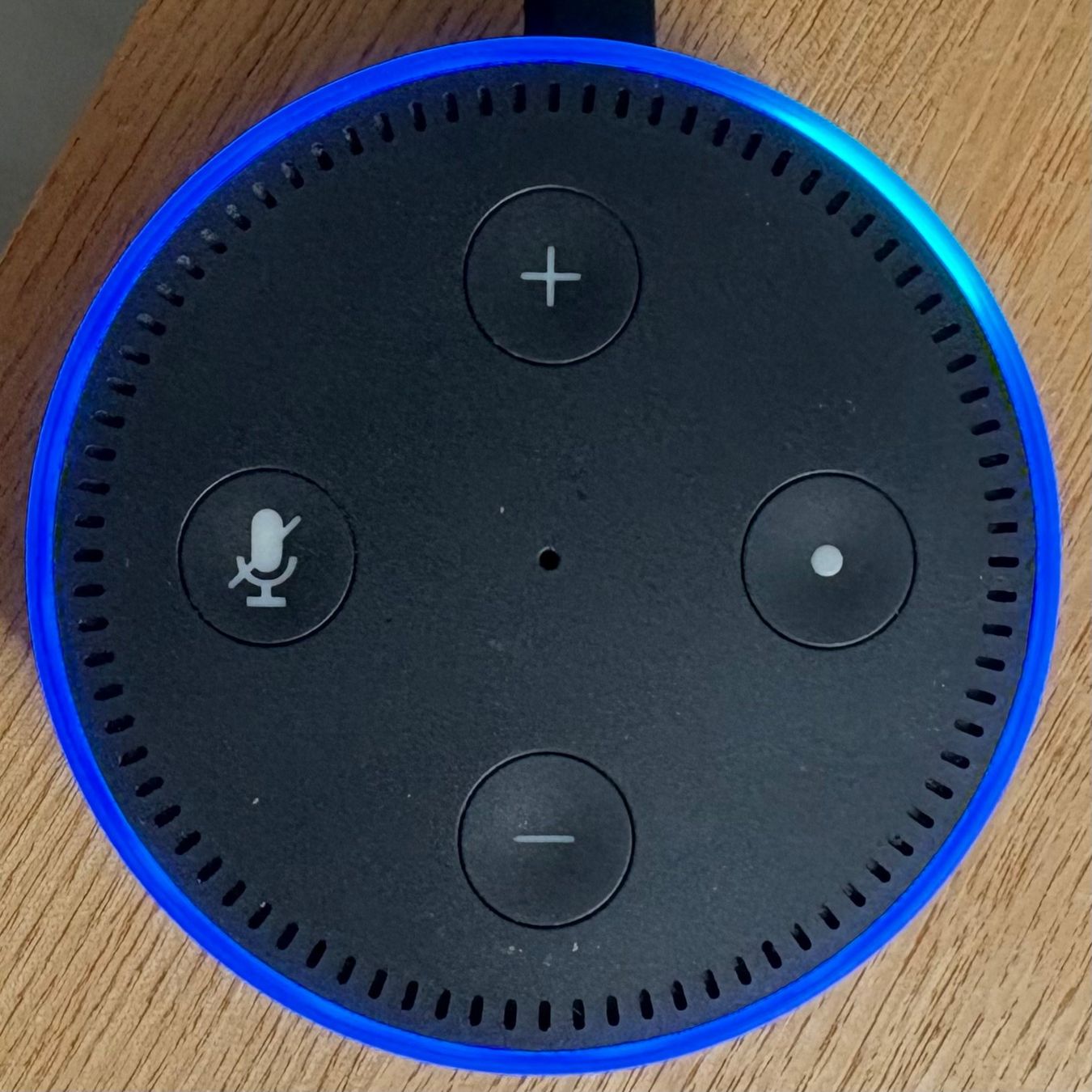 Amazon Casse acustiche: Amazon Echo Dot (2. Gen.) | Lautsprecher mit Alexa | Schwarz – Nuovo (secondo la descrizione) da Zürich venduto da Gaikokujin 2