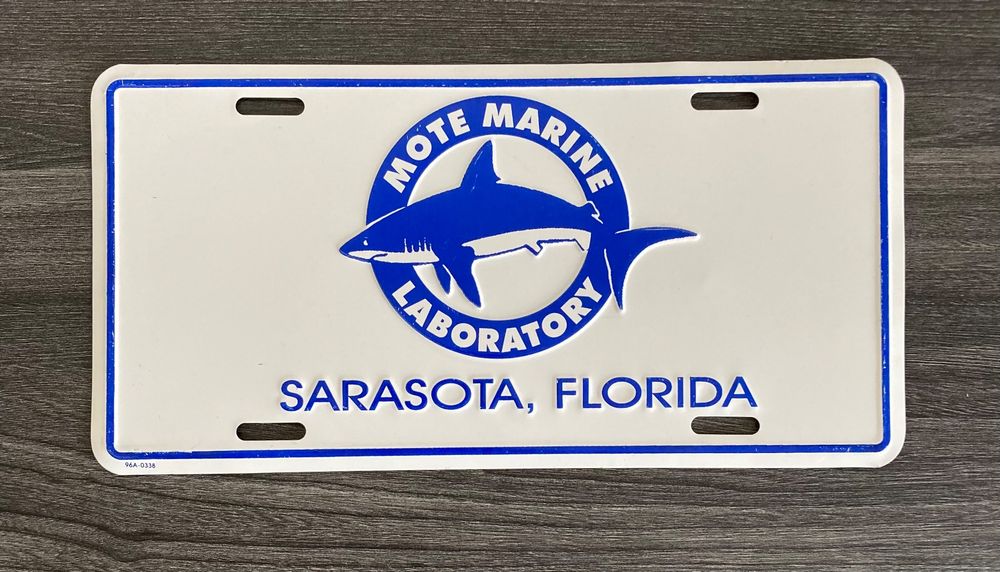 Shark Warnschild 'Gefährliche Marine Life' – 30,5x20,3 Cm Aluminium-Schild Für Strand & Dekoration