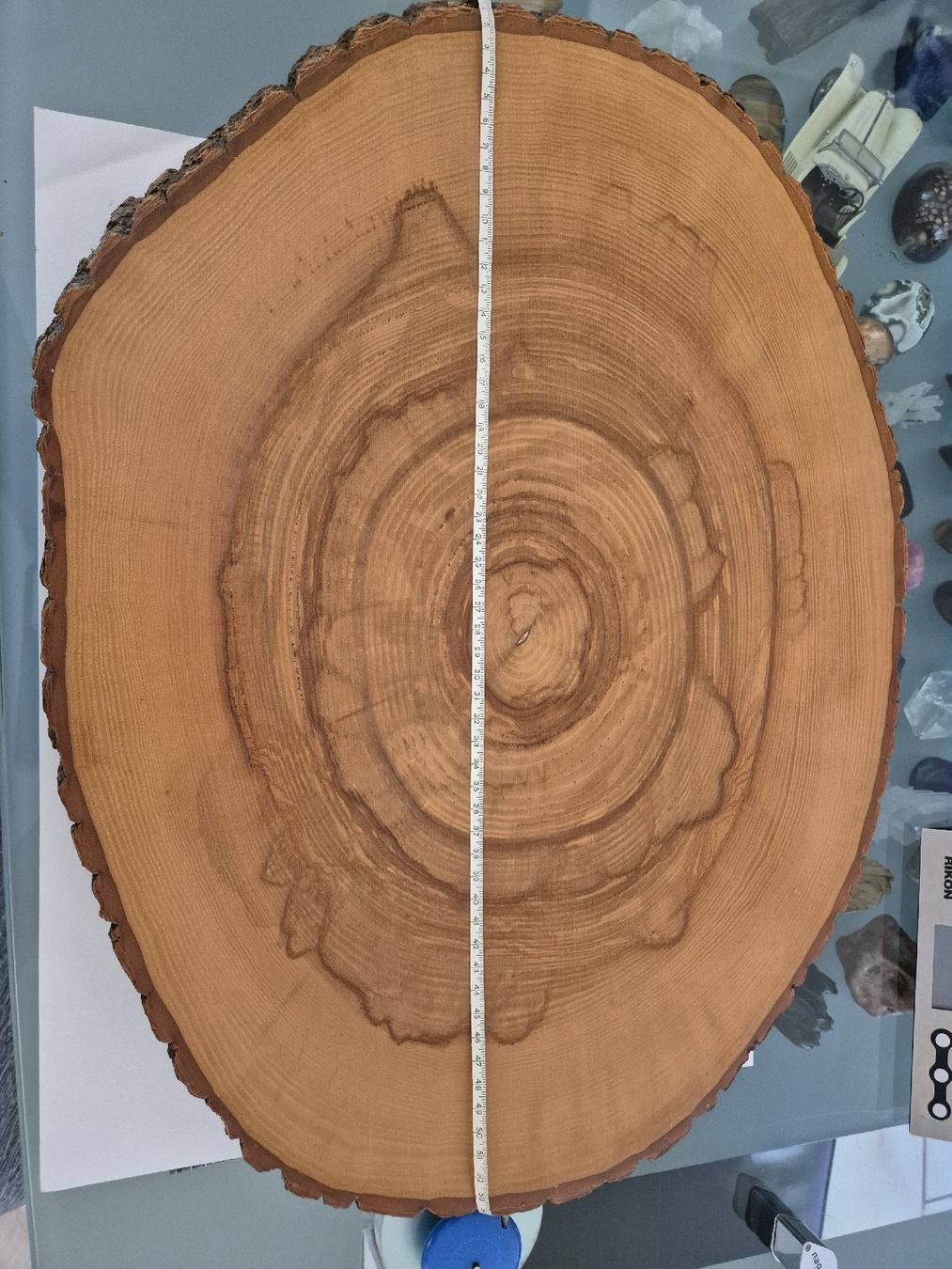 Holzartikel: Baumscheibe Holz mit Rinde 55cm  Unikat Brett Schneidebrett – Gebraucht aus Russikon von eunicetungol 1