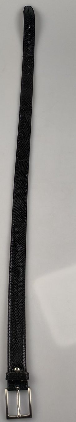 Gürtel: Gürtel - „Echtes Pythonleder“ – Gebraucht aus Rüti ZH von Restwert_Rueti_ZH 1