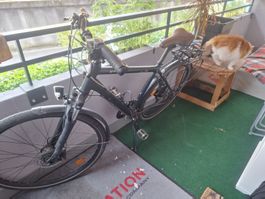 velo