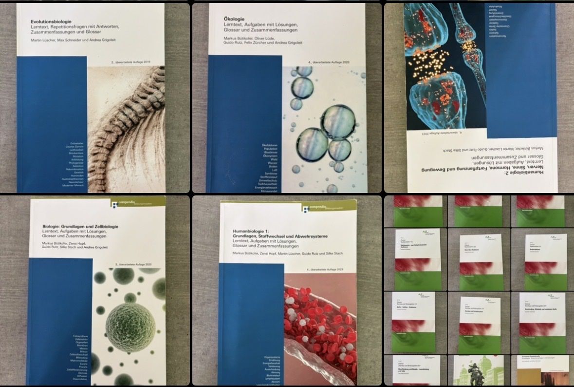 Libri: Bücher Passerelle – Usato da Berikon venduto da janick7 3