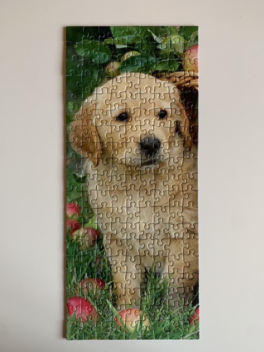 Puzzles: 2 Puzzles 🧩 Ravensburger (170 pièces ) – Neu (gemäss Beschreibung) aus Prilly von Sissi_1009 2