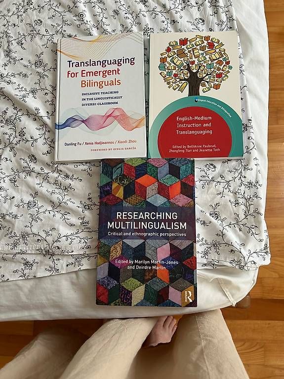Bücher: 14. Multilingualism, Eng Lang Teaching – Gebraucht aus Neuheim von GotoKim