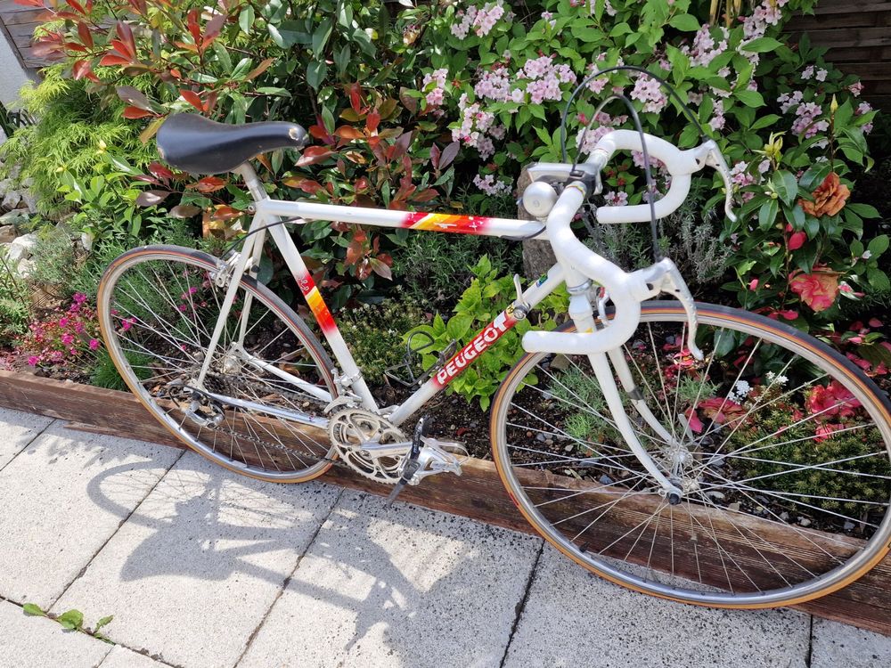 Faszinierend Peugeot Rennrad Neu Bild