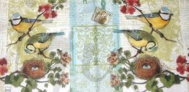 Serviette meisli beim nest (t307) 2Stk.