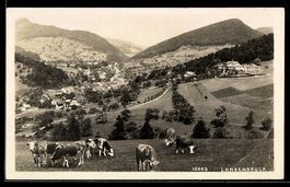 AK Langenbruck, Ortsansicht mit Kühen auf der Weide