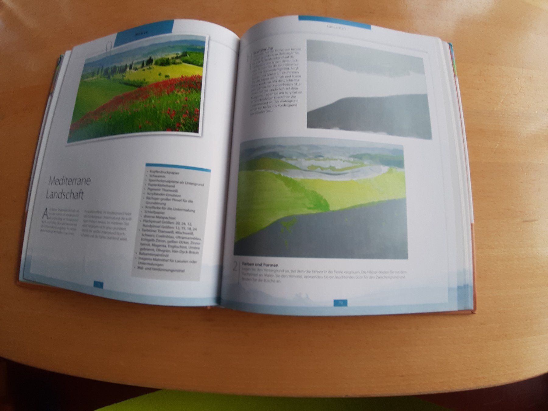 Libri: Ölmalerei Buch  - Der Weg zum eigenen Bild! – Usato da Rotkreuz venduto da nigal 4