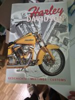Harley Davidson Geschichte Meetings Customs guter Zusta