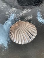 Wunderbare, alte Muschel Schale Silber Italien w. Buccellati