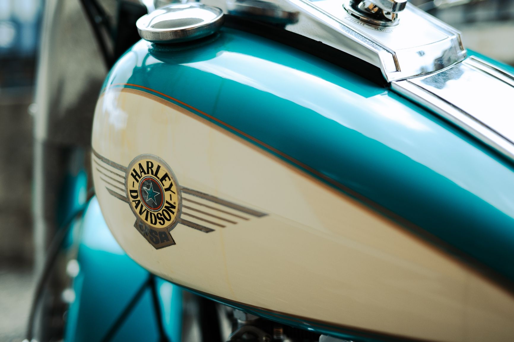 Harley-Davidson Chopper: Harley Davidson Fatboy 1340 EVO – Usato da Haute-Nendaz venduto da vin_fm7p 5