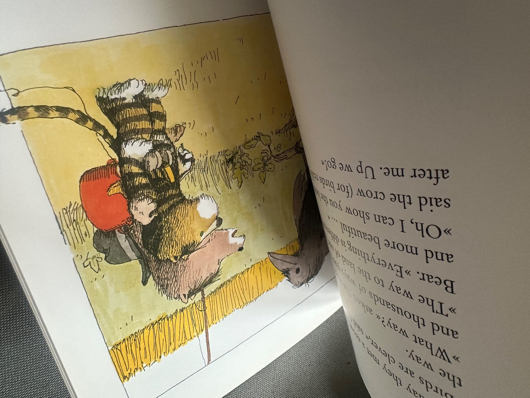 Libri: Janosch The Trip to Panama – Usato da Uster venduto da bek_v2ct 8