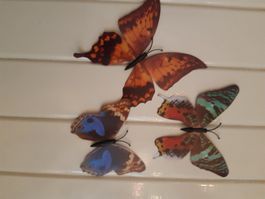 Frühling!!! - bringen Sie Farbe rein - Magnet Schmetterlinge