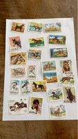 Collection timbres chevaux divers pays
