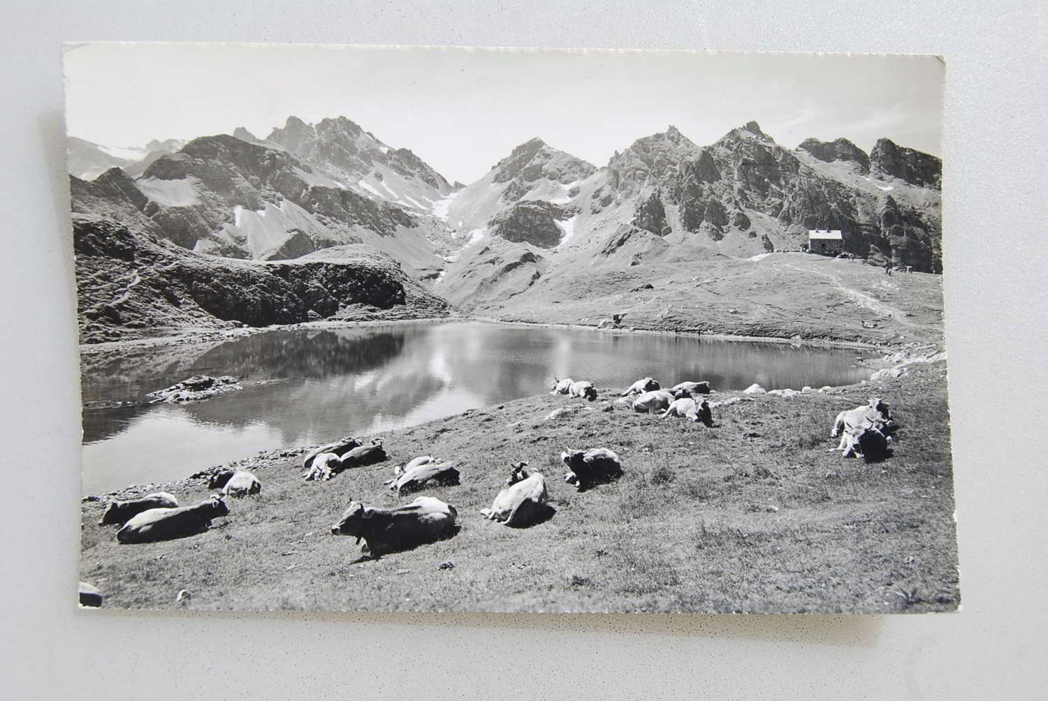 Cartes postales: Piz Sol Hütte mit Wangser See 1968 – D'occasion à Rüfenacht BE par Toro06