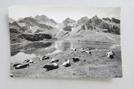 Piz Sol Hütte mit Wangser See 1968