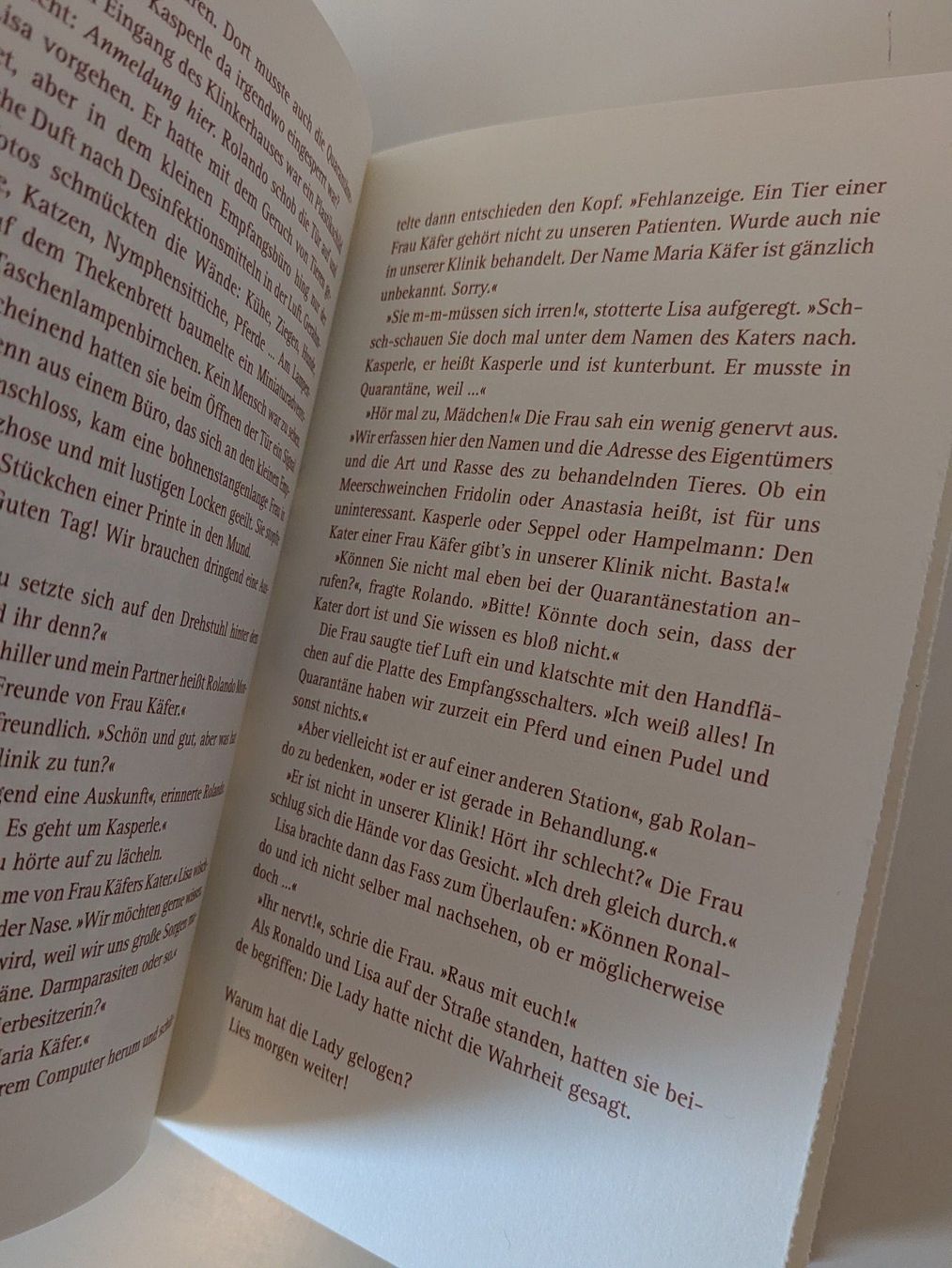 Bücher: Die Jagd nach dem Weihnachtsgespenst, Buch – Gebraucht aus Zürich von Joba-Sell 2