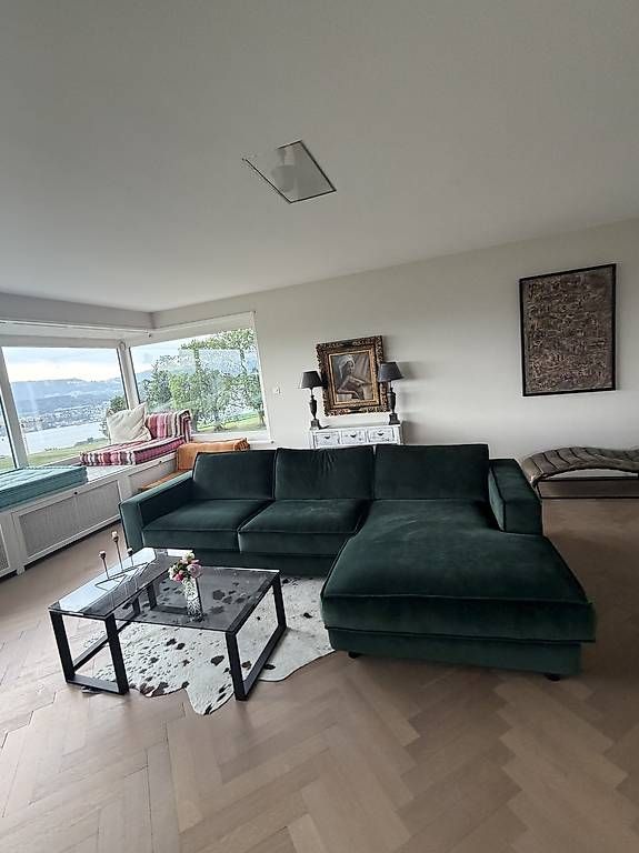 Divani: Designer Sofa grün – Usato da Gränichen venduto da san_9957 1