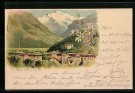 Litho Interlaken, Teilansicht mit Bllick