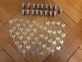 17 DOM Zylinder / Schlösser und Schlüssel