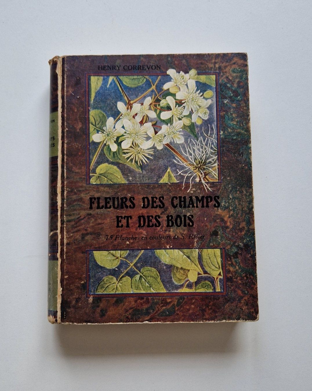 Libri: 1922 - Fleurs des champs et des bois – Usato da Fortunau (Ayent) venduto da le.baron