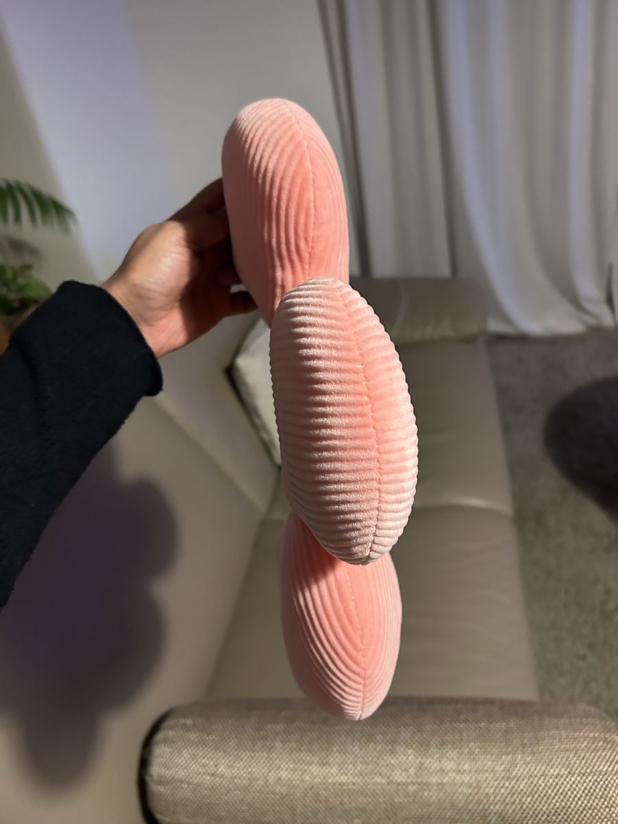 Cuscini: Süsses Blumen Kissen – Usato da Zürich venduto da ten_dhq7 1
