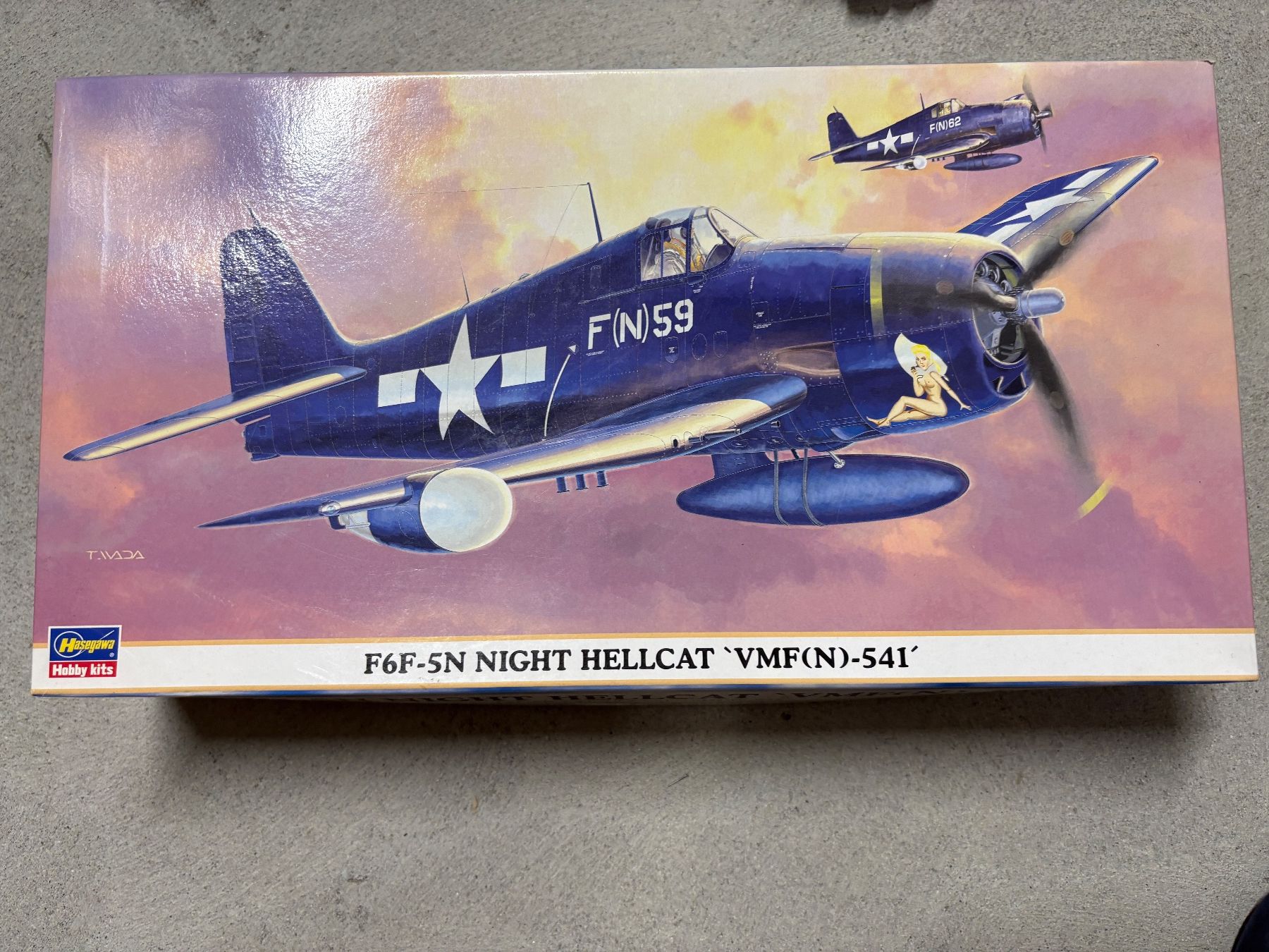 Kit di modellismo & Modellini statici: 1/48 F6F-5N HELLCAT MIT DIV. ZUBEHÖR – Usato da MÜHLEDORF/SO venduto da tru_wsv8
