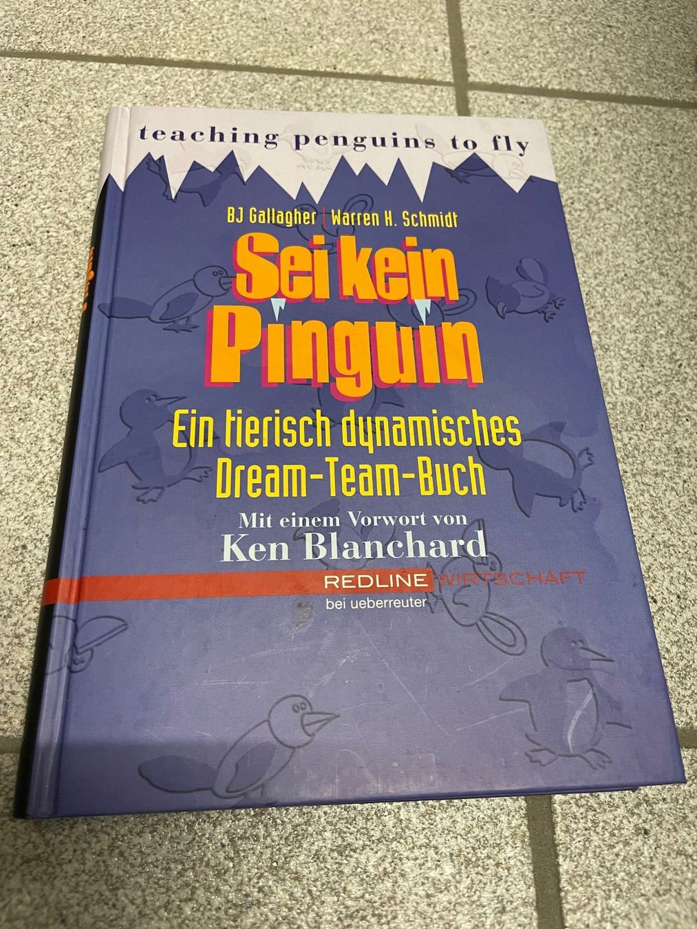Libri: Sei kein Pinguin. Ein tierisch dynamisches Dream-Team-Buch – Usato da Eschen venduto da books_and_more