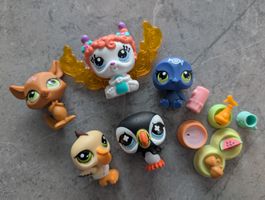 Süsses LPS Littlest Pet Shop Set: 5 Figuren mit Zubehör