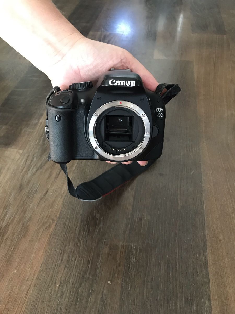 Canon Kamera: Canon EOS 55D – Gebraucht aus Aegerten von grisli72 4