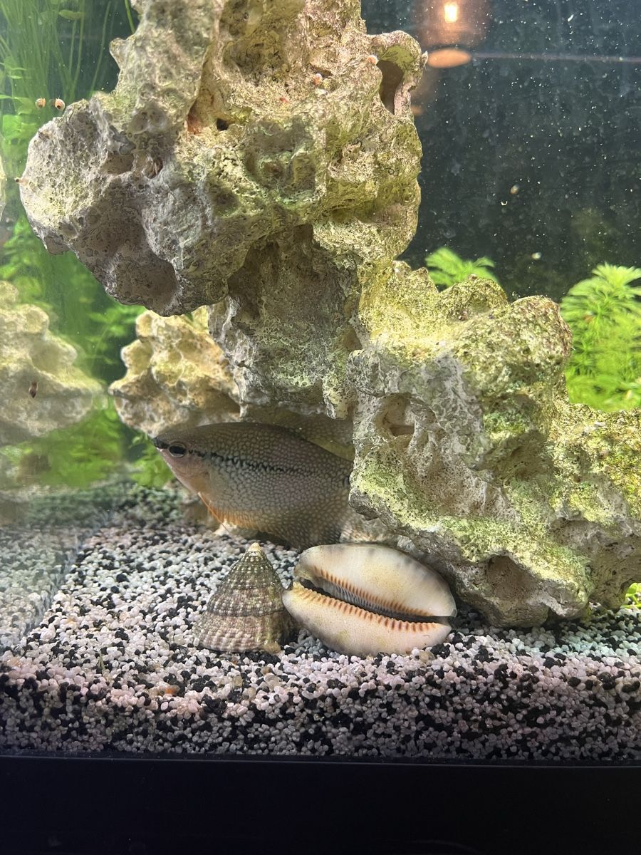 Aquarium: Aquarium – D'occasion à Nänikon par Baetzi10 4