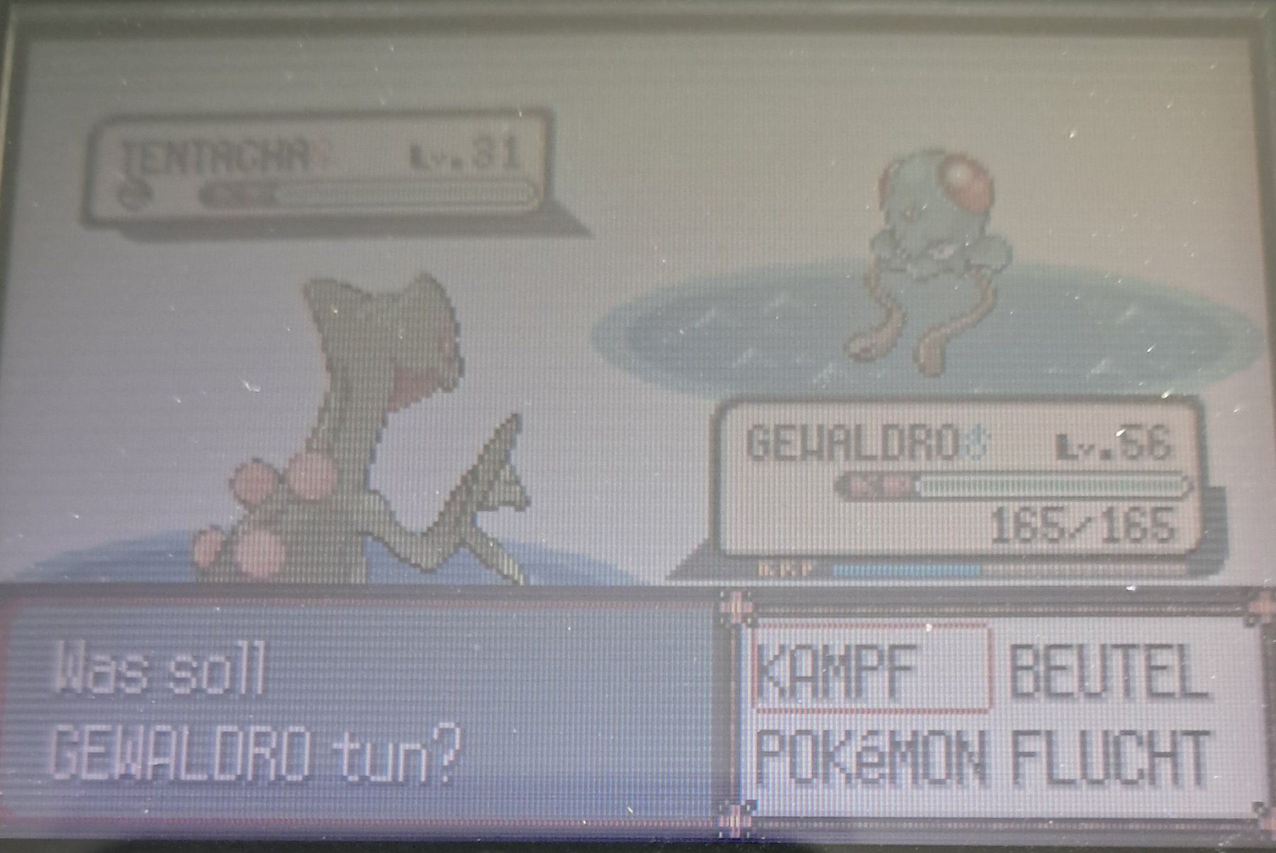 Nintendo Spiele: Pokemon Rubin Game Boy Advance – Gebraucht aus urdorf von Boo24 6