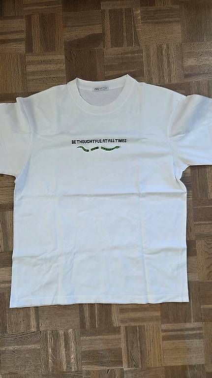 T-shirts: Zara Shirt M – D'occasion à Wallisellen par s.varone 1
