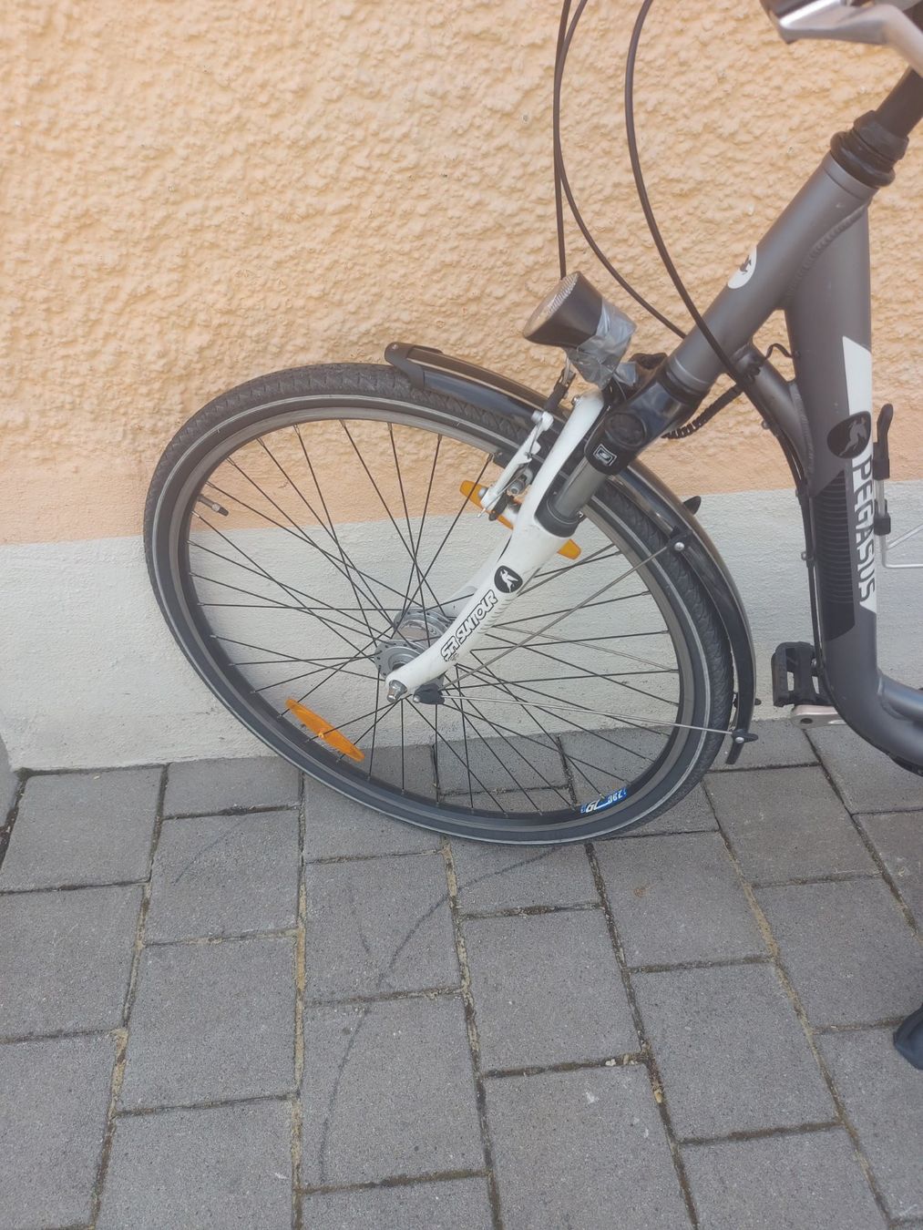 Biciclette: Pegasus Piazza Damen-Citybike – Usato da Rheinau venduto da profitronic.shop 1