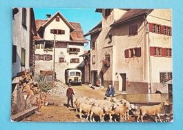 Heinzenberg - Sarn - Postauto  mit Schafherde