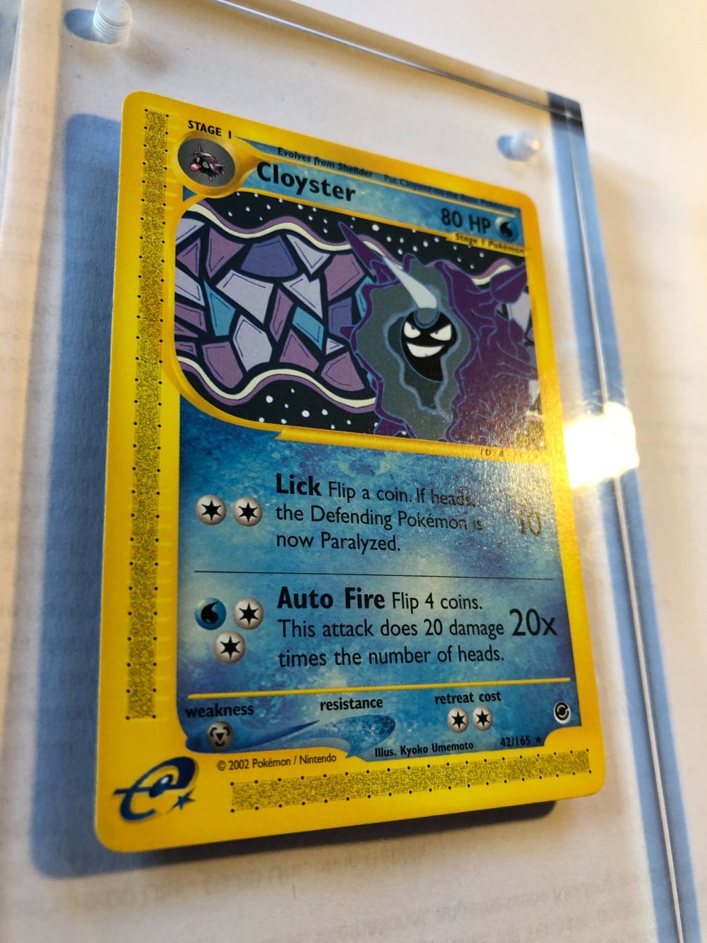 Carte collezionabili: Cloyster (rare) Expedition - MINT - ab 1.- – Usato da Giubiasco venduto da dan_pr8b 1