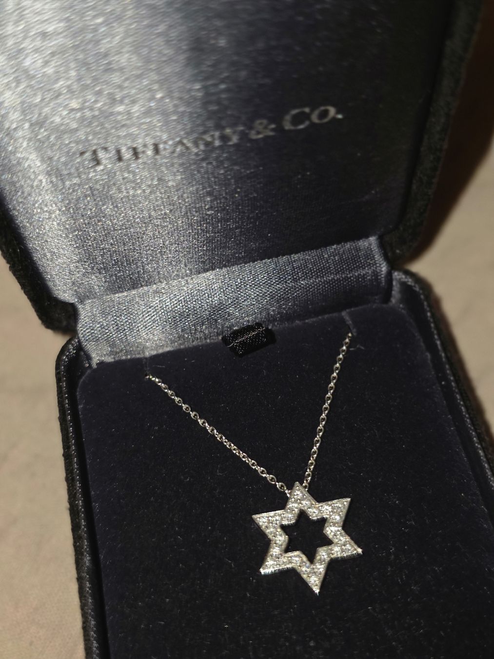 Tiffany & Co. Catenine: Tiffany&co Platin Kette – Usato da Aesch BL venduto da Puga