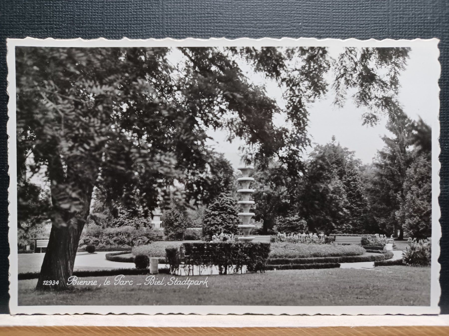 Cartoline postali: Bienne, le Parc - Biel, Stadtpark, alte Ansichtskarte – Usato da Aarau Rohr venduto da mgvw