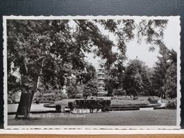 Bienne, le Parc - Biel, Stadtpark, alte Ansichtskarte