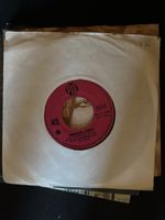 Vinyl Single Mungo Jerry In The Summertime Pye 45 RPM