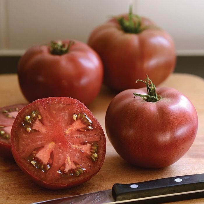Pflanzen & Samen: 50 Samen Schwarze Tomate CARBON – Neu (gemäss Beschreibung) aus Ehrendingen von VerveinaSamen 2