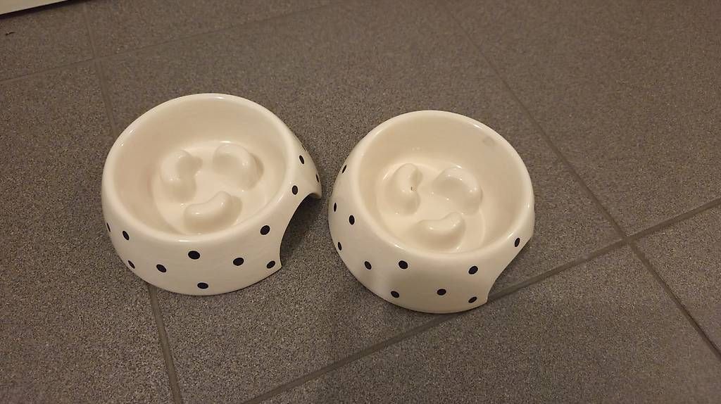 Ciotole: Antischlingnapf Polkadot – Usato da Therwil venduto da Catsathome
